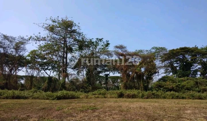 Sell Citraland Surabaya Land Plots Sell Citraland Surabaya Land Plots