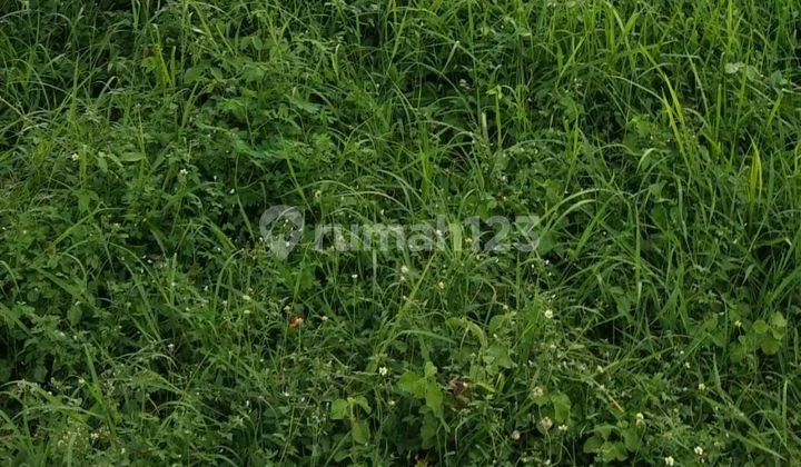 Jual Tanah Molingkapoto Sulawesi Utara Jual Tanah Molingkapoto Sulawesi Utara