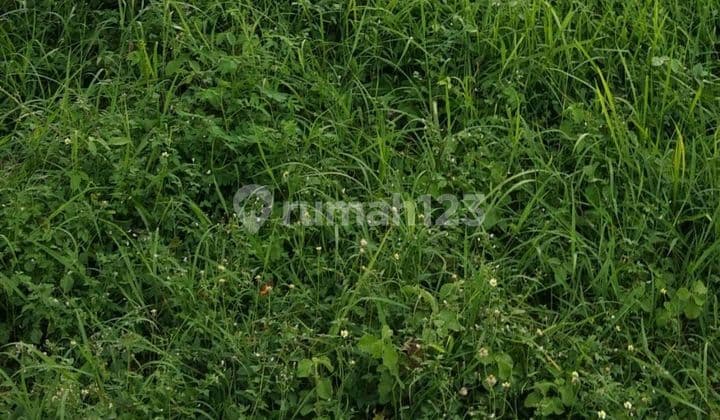 Jual Tanah Pematangsiantar Sumut