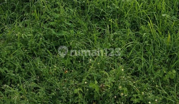 Jual Tanah Pematangsiantar Sumut