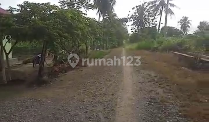 For Sale Boalemo Gorontalo Land