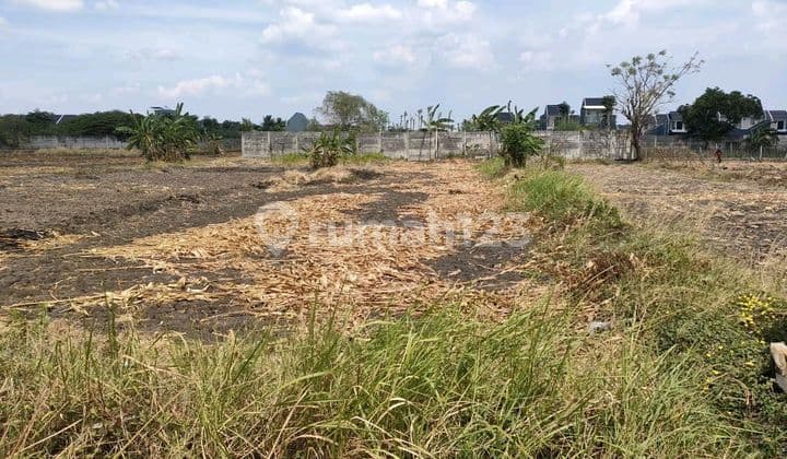 Jual Tanah Kavling Pakal Surabaya