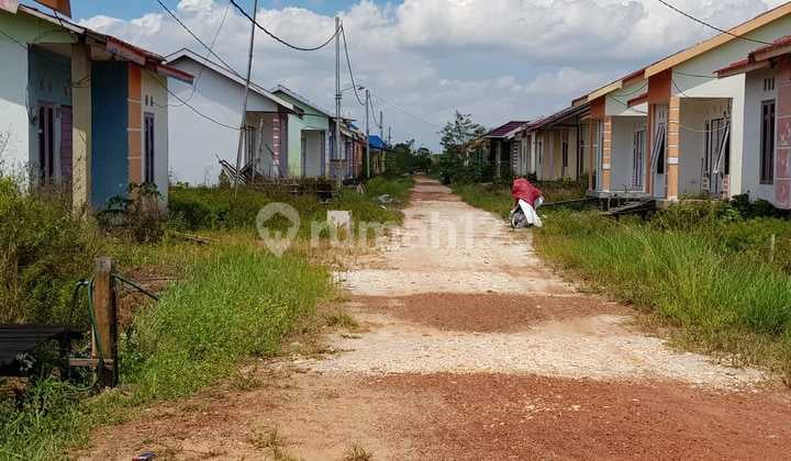 Jual Tanah Barito Kuala Kalimantan Selatan