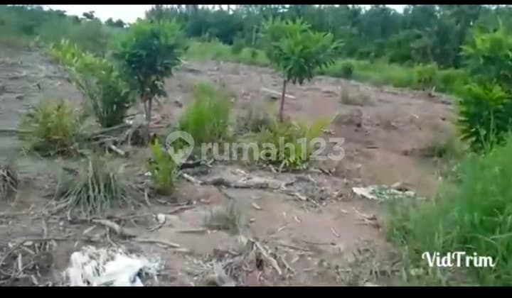 Jual Tanah Kapuas Kalimantan Tengah di Kapuas Kuala