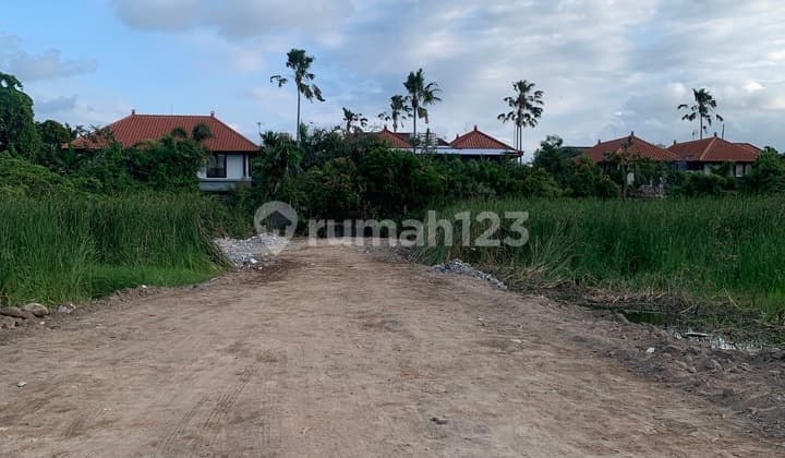 Plot Tanah Disewakan Jangka Panjangdi Sanur Tanah di Sanur Hak Sewa