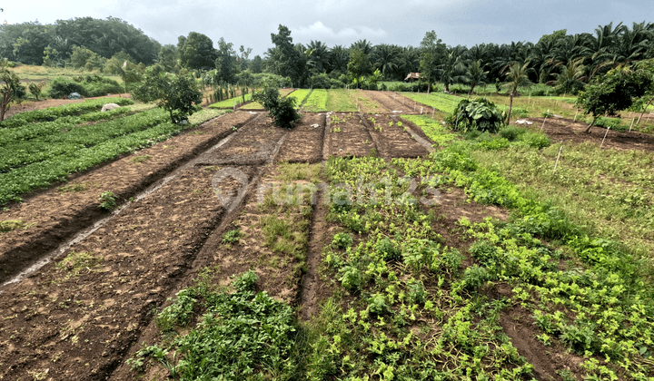 Dijual Cepat: Lahan Potensial/Prospek