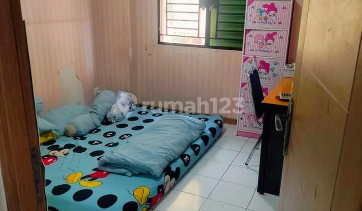 English translation: Palm Mansion Apartment (Area 36 sqm)