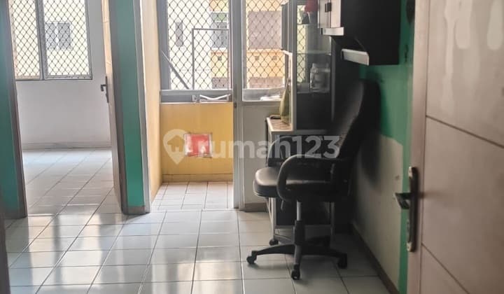 Palm Mansion Apartment (36M²)