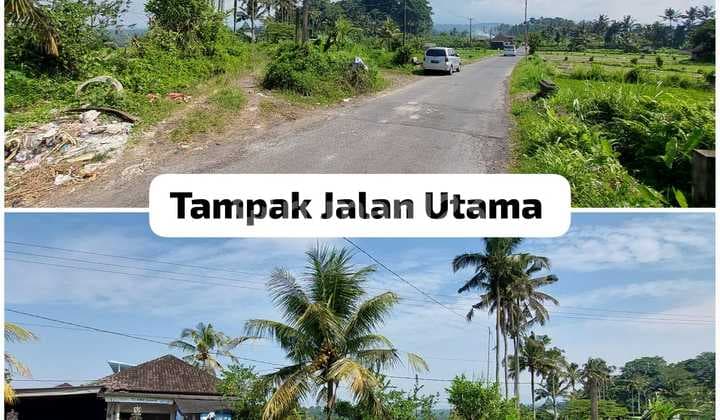 Tanah 12,5 Ha di Muncan Rendang Cocok untuk Hotel/villa