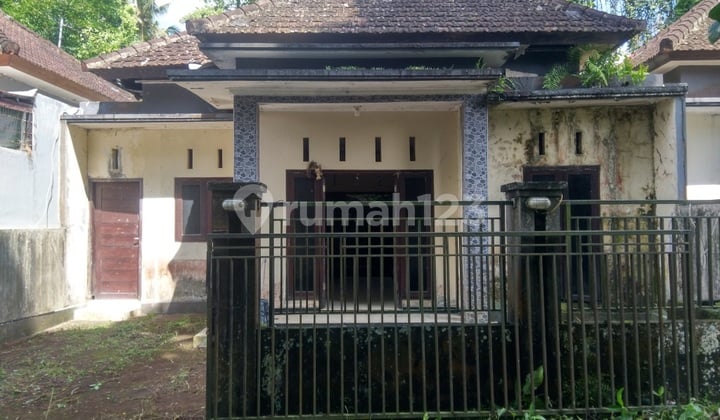 Dijual Rumah Rp 250 jt di Tabanan - Bali