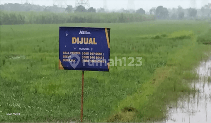 Vacant Land 1.4 Ha with SHM – Strategic Location in Grati, Pasuruan!
