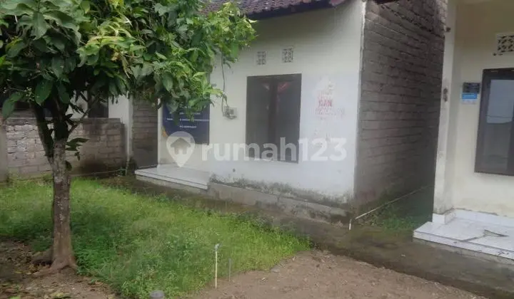 Rumah Seharga Rp 126jt di Jembrana - Bali