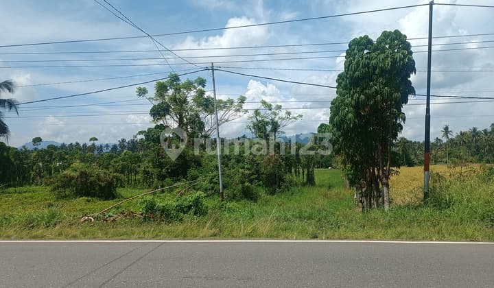 Dijual Tanah Seluas 9.758 m2 Seharga Rp 167 jt di Bolaang Mongondow