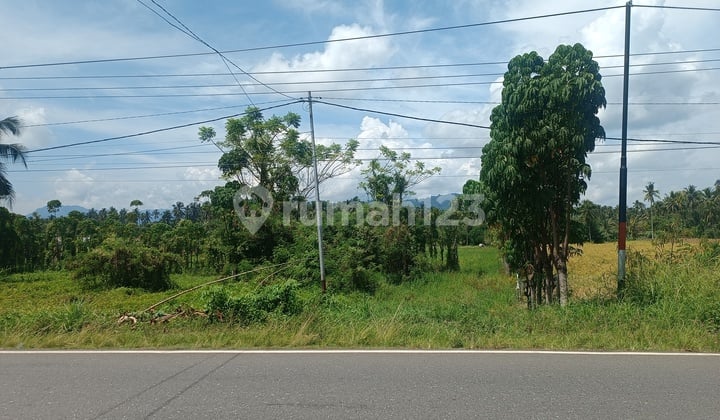 Land for Sale, 9,758 m2 in Size, Priced at Rp 167 Million in Bolaang Mongondow