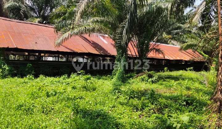 Lahan 1,86 Ha SHM di Talang Kelapa – Strategis & Siap Pakai