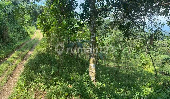 Tanah 6134 m² Harga Terjangkau di Bogor – Cocok untuk Usaha & Gudang