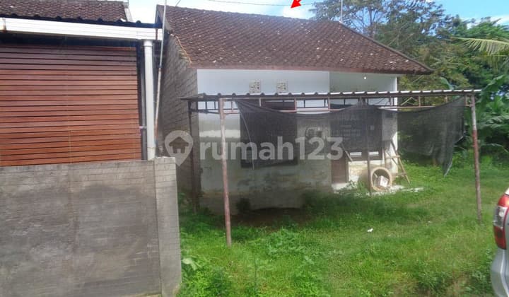 Dijual Rumah Seharga Rp 126Jt di Jembrana - Bali