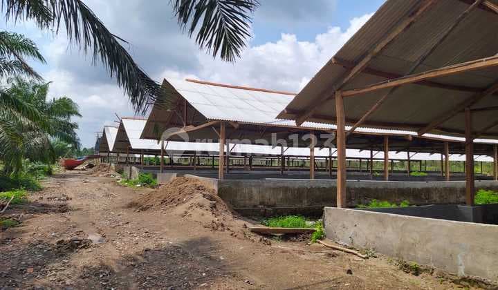 Dijual lahan seluas 44.815 m2 di Banyuasin - Sumatra selatan