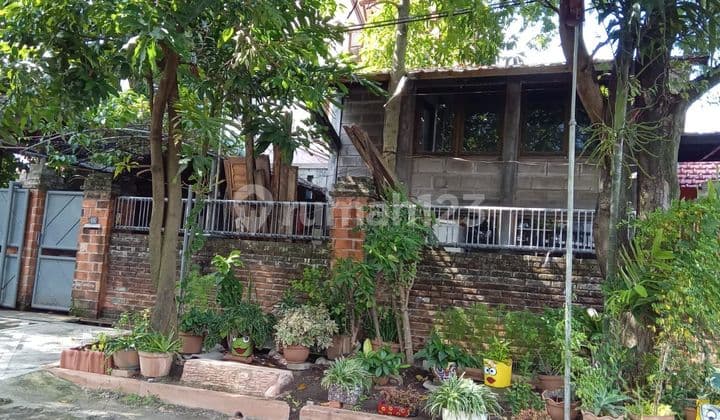 Rumah Minimalis Pakis