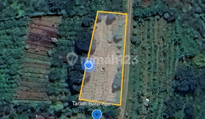 Apple orchard land