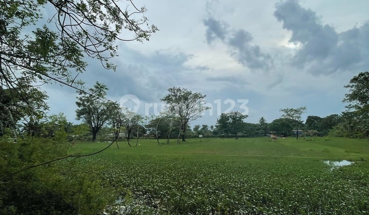 Dijual Cepat Tanah Poros Jalan Barombong Dekat Dari Jembatan Barombong Lokasi Strategis