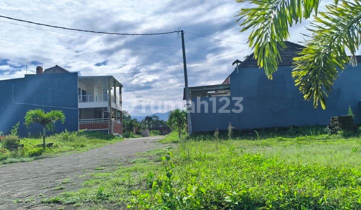 Tanah Kota Malang 100 Juta An bisa Angur Cocok untuk Hunian Atautabung