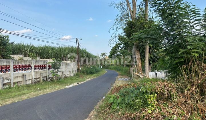 Tanah Wagir Kota Malang Hanya 80 Juta An Cocok untuk Hunian