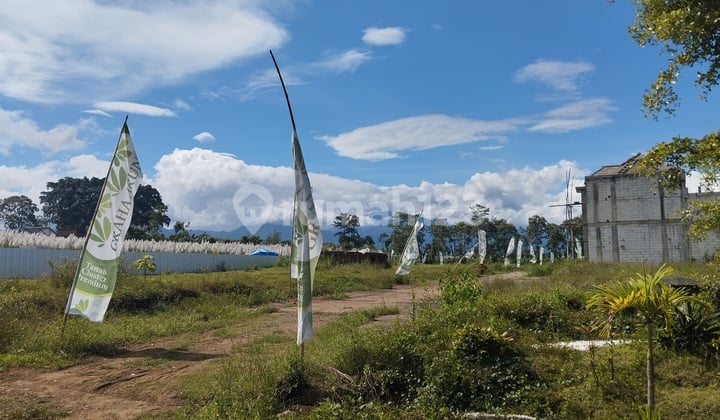 Tanah Kavling Kota Malang 100 Juta An Dekat Bandara Cocok Huni