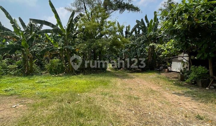 Tanah Sangat Murah Dibawah Njop Daerah Kemang