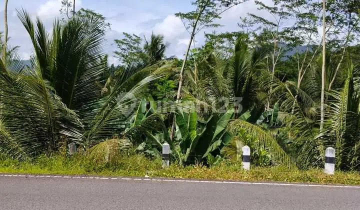 Affordable and Strategic Land in Munjungan Trenggalek