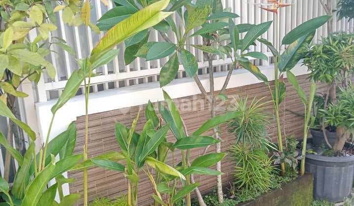 Rumah Minimalis di Tengah Kota Dibdenpasar Selatan