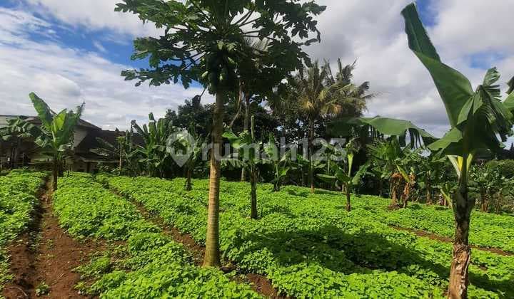 Dijual Lahan Potensial Siap Bangun di Area Graha Bukit Raya Bandung Barat