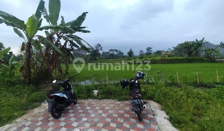 Dijual Tanah Luas Murah di Sardonoharjo, Ngaglik, Sleman, Jalan Kaliurang, Dekat Kampus Ugm