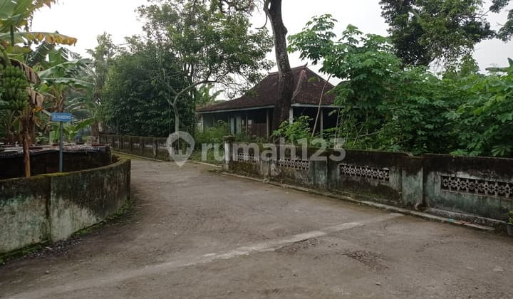 Dijual Tanah Luas Bonus Joglo Klasik di Sabdodadi, Bantul, Yogyakarta, Dekat Pusat Kerajinan Kulit Manding