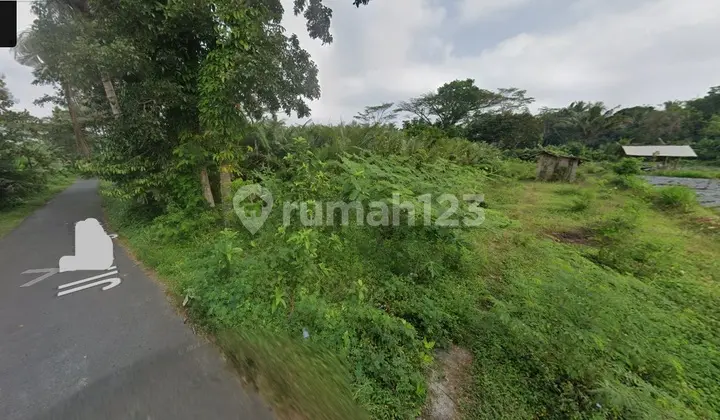 Dijual Tanah Murah, Mangku Jalan Aspal di Bangunkerto, Turi, Sleman