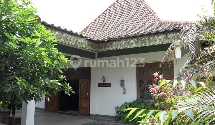 For Sale Large Joglo on Jl Kaliurang km 6.7, Near UGM, Suitable for Homestay