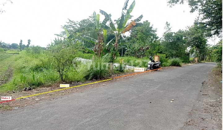 Dijual Tanah Luas dan Murah, Area Strategis di Tlogoadi, Mlati, Sleman