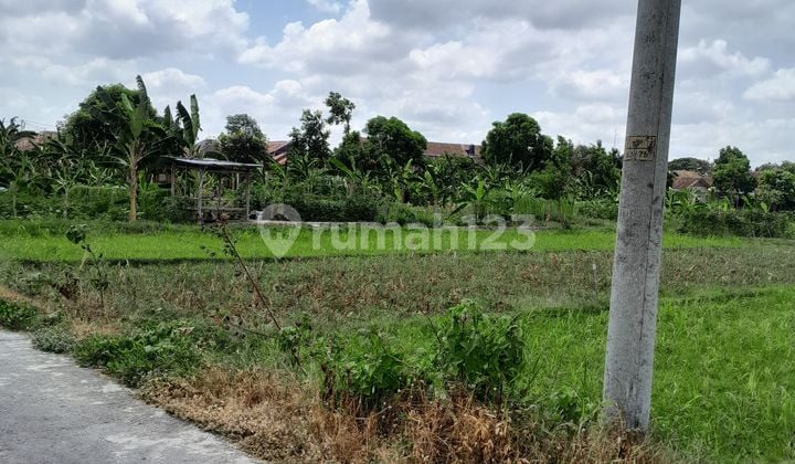 Dijual Tanah Pekarangan Strategis di Panggungharjo, Sewon, Bantul, Dekat ISI, Cocok untuk Cafe, Kos