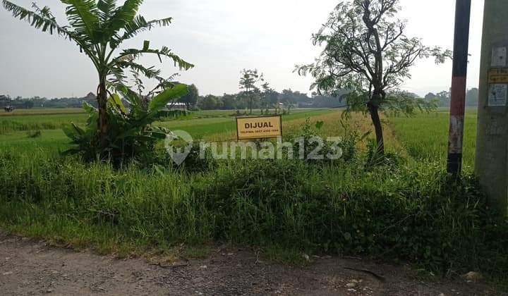 Dijual Tanah Super Murah di Tamanan, Banguntapan, Bantul, Dekat Terminal Giwangan