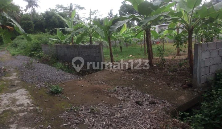 Dijual 2 Kapling Murah Istimewa, Dekat Bandara Yogyakarta Kulonprogo - bisa Dibeli 1