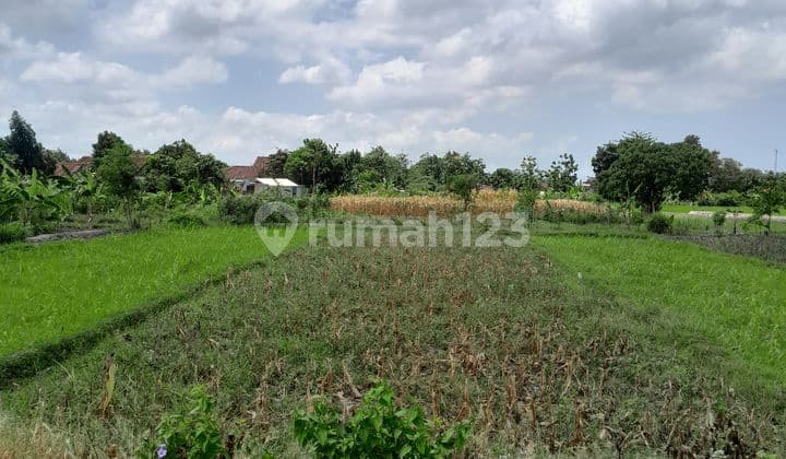 Dijual Tanah Pekarangan Strategis di Panggungharjo, Sewon, Bantul