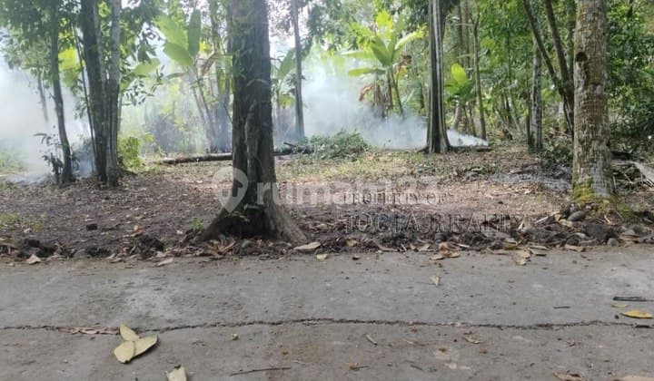 Tanah Istimewa Strategis Dalam Kampung Asri Bantul Selatan Jogja