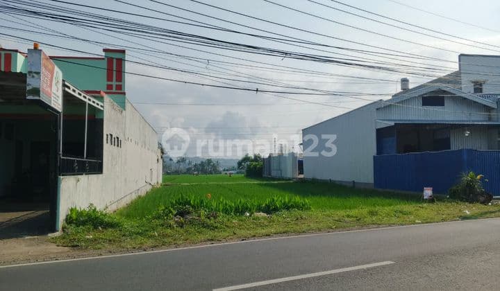 Tanah Sewa, Jl. Raya Ampeldento