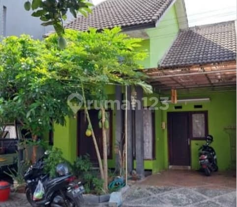 House for Rent, Semboja Land (CA)