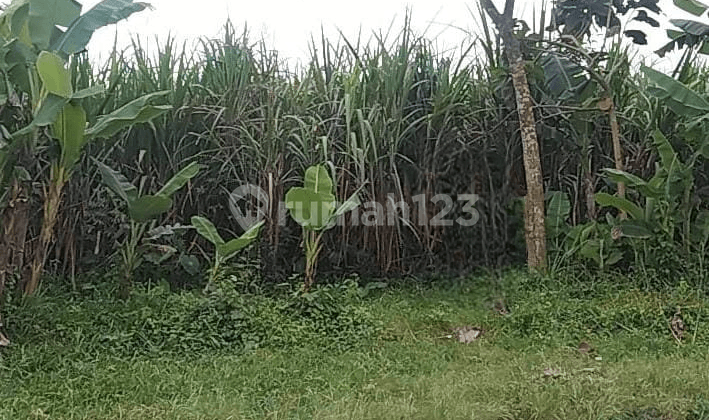 Tanah Jual, Jl. Raya Pandanajeng (CA)