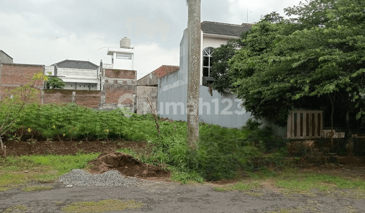 Tanah Jual, Lembah Dieng (Dw)