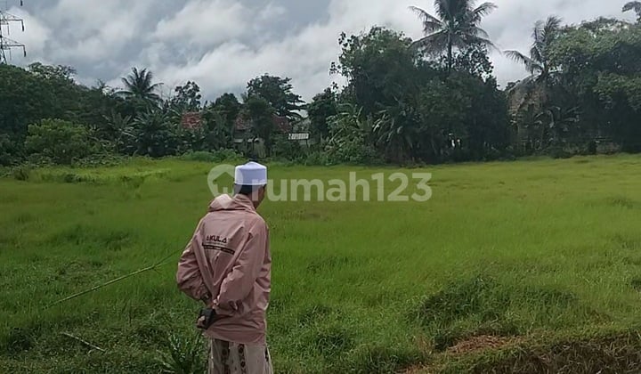 Tanah Sawah Darat Harga Murah. Lokasi Tigarksa Tangerang.