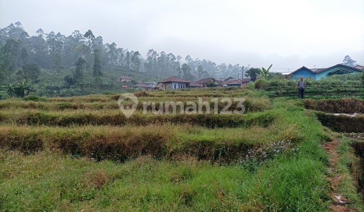 Dijual Tanah (Kebun) Luas 999M2 di Daerah Pasirjambu, Bandung