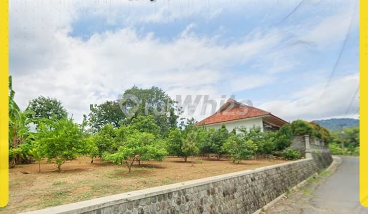 Dijual Tanah di Selogiri Wonogiri bonus pohon buah2an