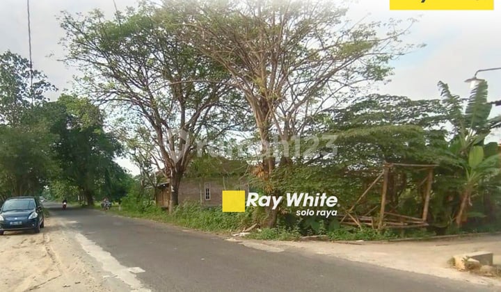 Turun Harga! Dijual Tanah Luas & Strategis di Kebakkramat